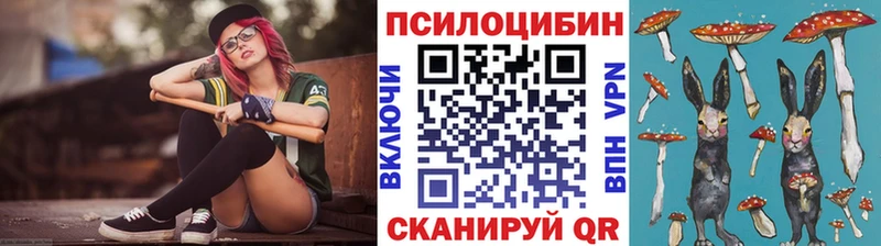 Галлюциногенные грибы Psilocybe  Ак-Довурак 